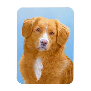 Nova Scotia Duck Tolling Retriever Hund Målning Magnet