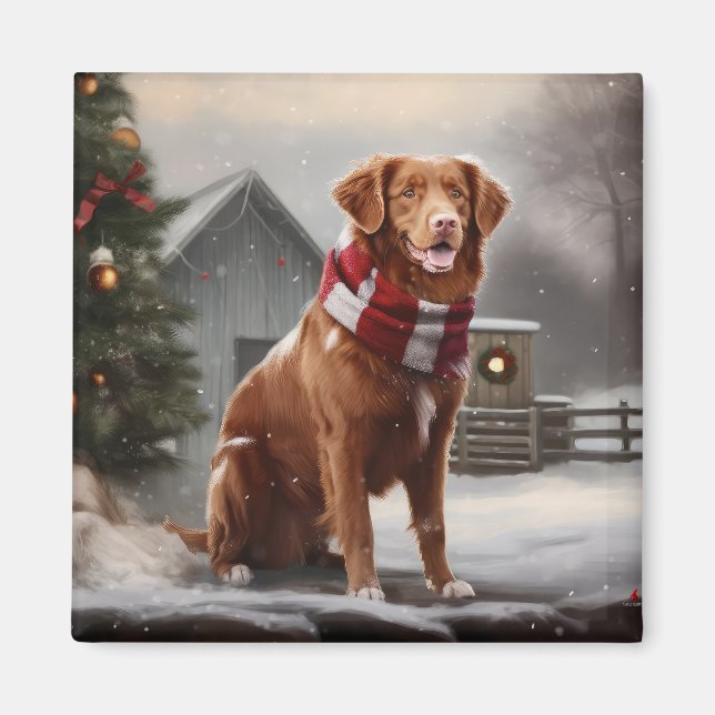 Nova Scotia Duck Tolling Retriever i snö jul Magnet (Framsidan)