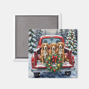 Nova Scotia Duck Tolling Retriever Jul Röd Magnet