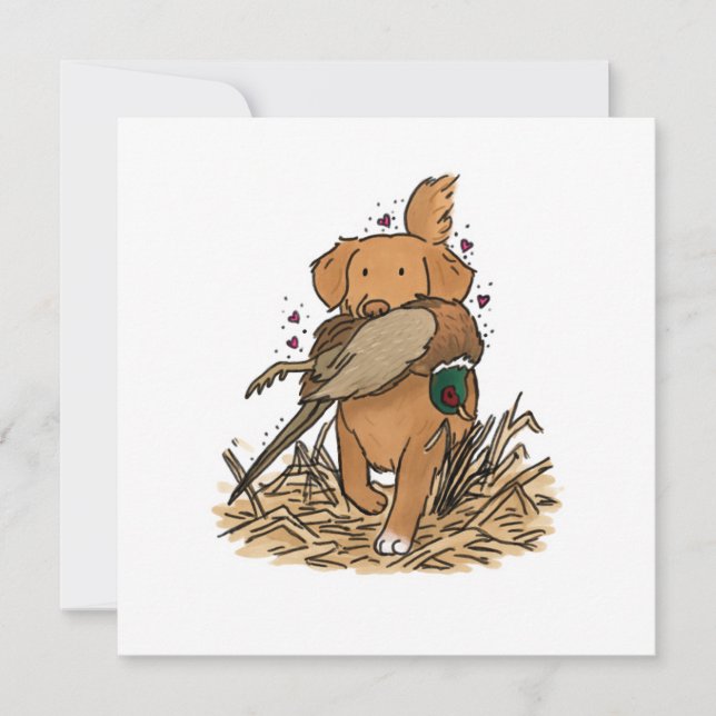 Nova Scotia Duck Tolling Retriever NSDTR (Framsida)