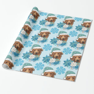 nova scotia duck tolling retriever presentpapper