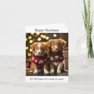 Nova Scotia Ducktolling Retriever-julkort Kort