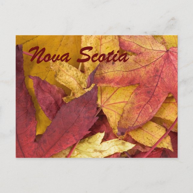 Nova Scotia Höst löv vykort (Framsida)