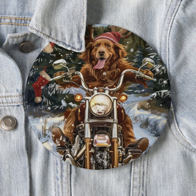 Nova Scotia Hund Kör Motorcykel Jul Knapp (In Situ)
