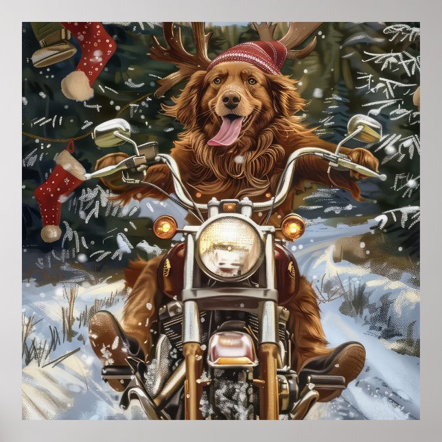 Nova Scotia Hund Riding Motorcykel jul Poster (Framsidan)
