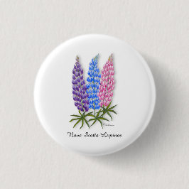 Nova Scotia Lupiner Knapp