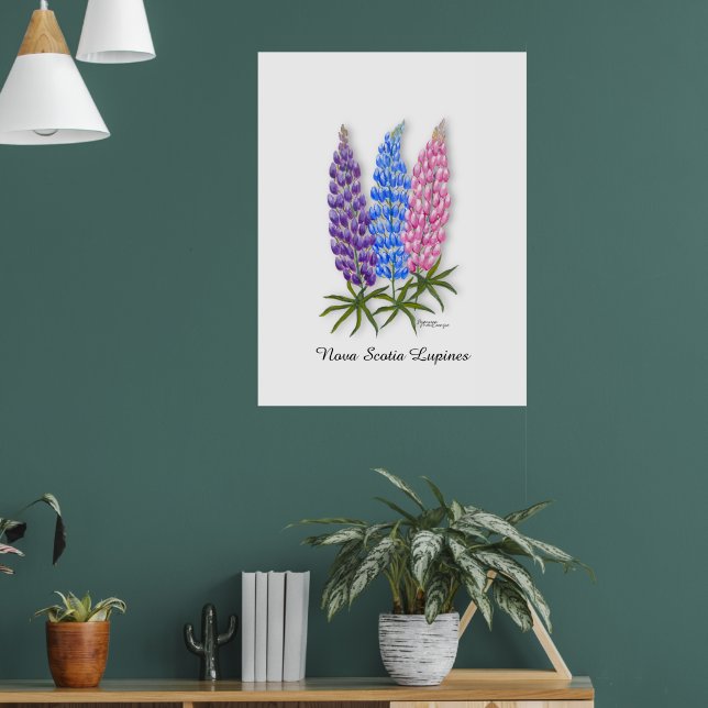 Nova Scotia Lupines Poster (Vardagsrum 1)