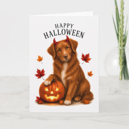 Nova Scotia Toller Djävulshund Kort