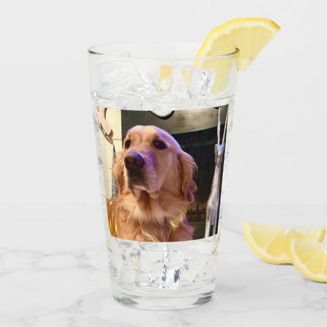 Nova the Golden Retriever - Glass Tumbler/Shaker Glaskopp (Bakside Is)