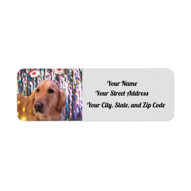 Nova the Golden Retriever - Santa Tassar - Adress Returadress Etikett (Framsidan)