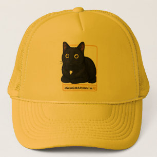 #NovaCatAdventures v1 Hatt Keps