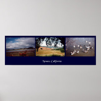 Novato, Kalifornien Poster