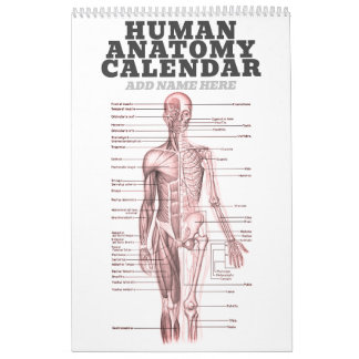 Novelty av anatomiskt läkardiagram kalender