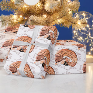 Novelty av mänskligt hjärnanatomi Medicinskt diagr Presentpapper