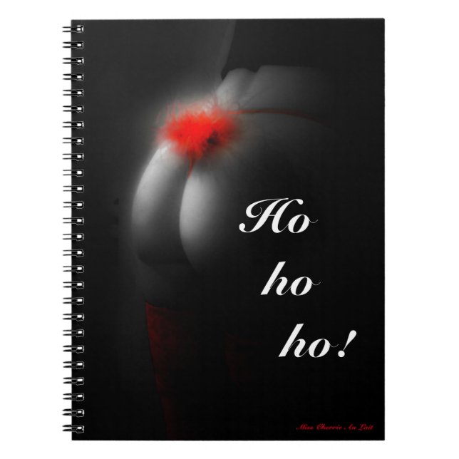 Novelty Glamor Joke Journal bärbar dator Anteckningsbok (Framsidan)