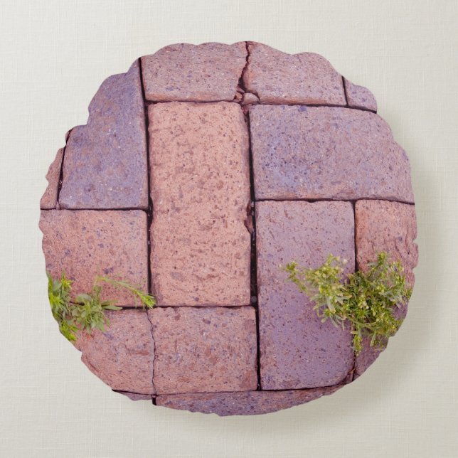 Novelty Rustic Red Brick Pavers Walkway Ogräs Rund Kudde (Framsidan)
