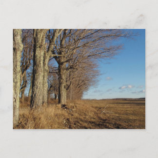 November Fält I Vykort