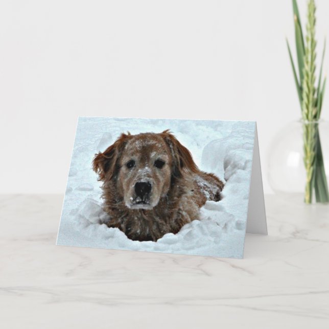 November Födelsedag Humor med Cute Hund Kort (Framsida)