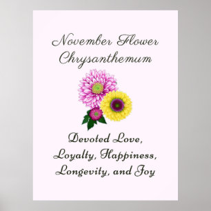 November födelsemånad Flower Chrysanthemum Poster