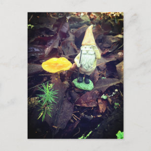 November Gnome Vykort