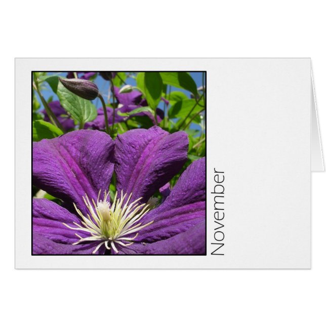 November Hälsningskort (Framsidan Horizontal)