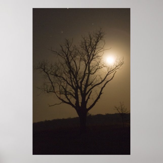 November Måne Poster (Framsidan)