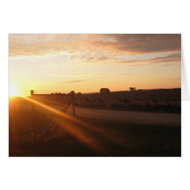 November-morgon OBS Kort (Framsidan Horizontal)