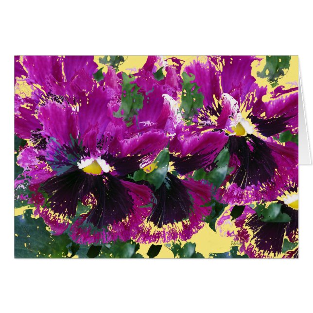 November Pansies Hälsningskort (Framsidan Horizontal)