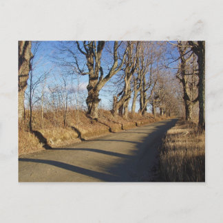 November Road Vykort