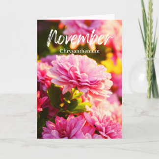 November Rosa Krysantemum Födelsemånadsblomma Kort