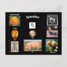 November Skorpion Födelsemånad Postkort