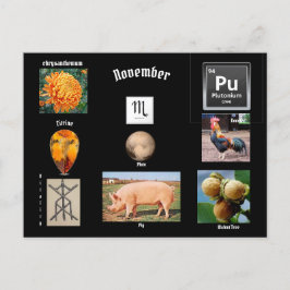 November  Skorpion Födelsemånad Postkort Vykort