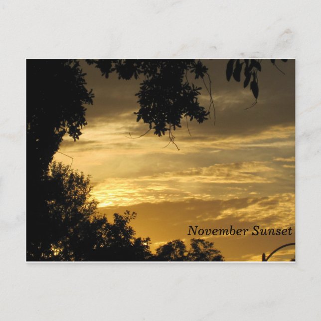 November Solnedgång vykort (Framsida)