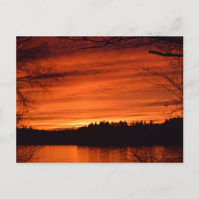 November Solnedgång vykort (Framsida)