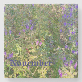 NOVEMBER STENUNDERLÄGG