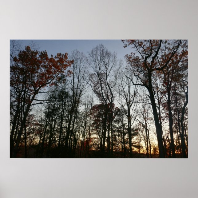 November Sunset Poster (Framsidan)