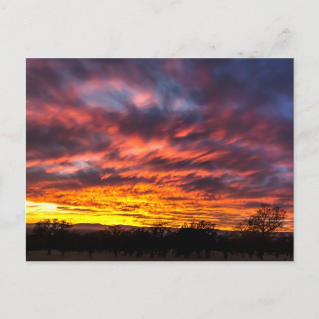 November Sunset Vykort (Framsida)