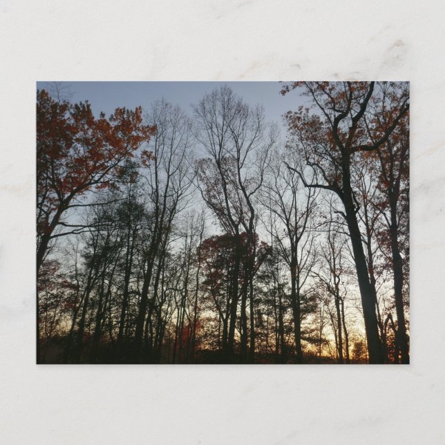 November Sunset Vykort (Framsida)