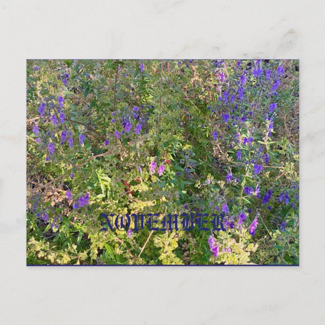 NOVEMBER VYKORT (Framsida)