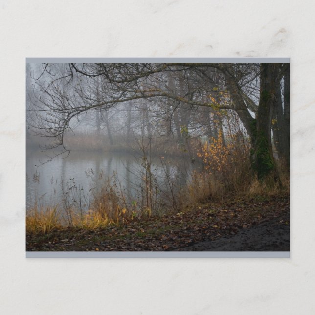 Novemberträd CC0310 Vykort (Framsida)