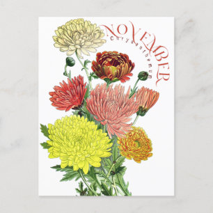 Novermber Månadsblommor Krysantemum Fancy Postca Vykort