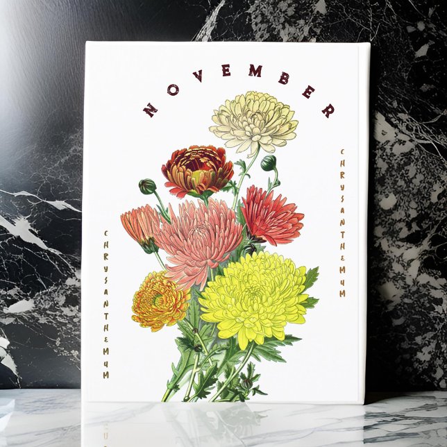 Novermber Månadsblommor Krysantemum Vykort (Skapare uppladdad)