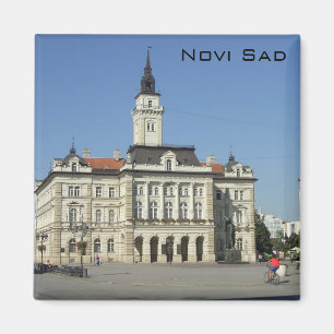 Novi ledsen - stadshus magnet
