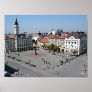 Novi Ledsen Vojvodina Poster