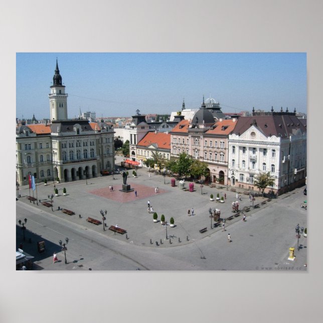 Novi Ledsen Vojvodina Poster (Framsidan)