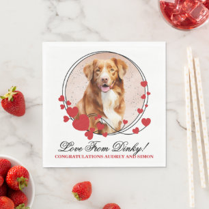 Novia Scotia Duck Tolling Retriever Bröllopsservet Pappersservett