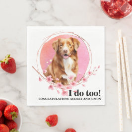 Novia Scotia Duck Tolling Retriever Hund Foto Pappersservett