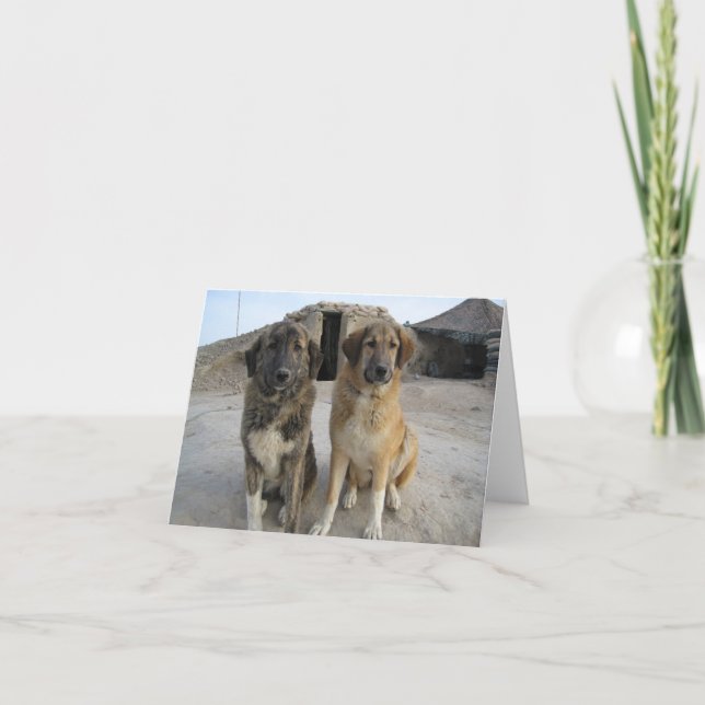 Nowzad förföljer Notecard Kort (Framsida)