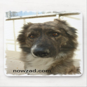 Nowzad rädding Wylie Mousepad Musmatta