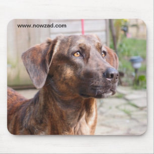 Nowzad räddinghund Brin Mousepad Musmatta